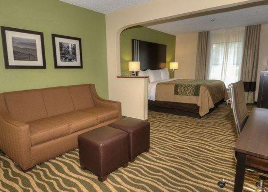 Comfort Inn Near Downtown & Blue Ridge Pkwy Марион Номер фото
